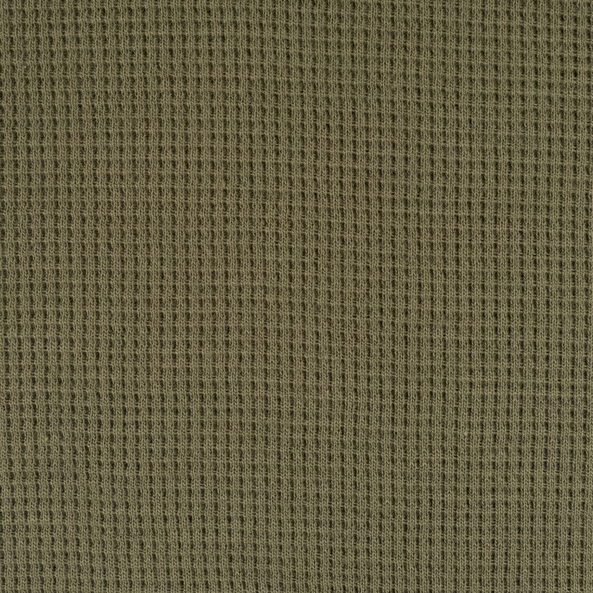 Mini Waffle Cotton Jersey - Fern - Image 4